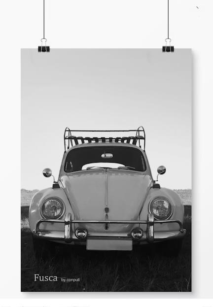Poster Colibri e Ipe