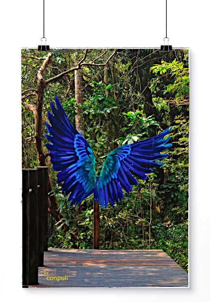 Portal_Azul