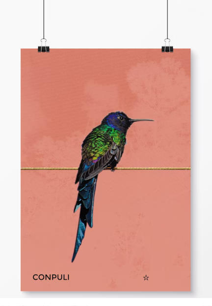 poster coliri aral